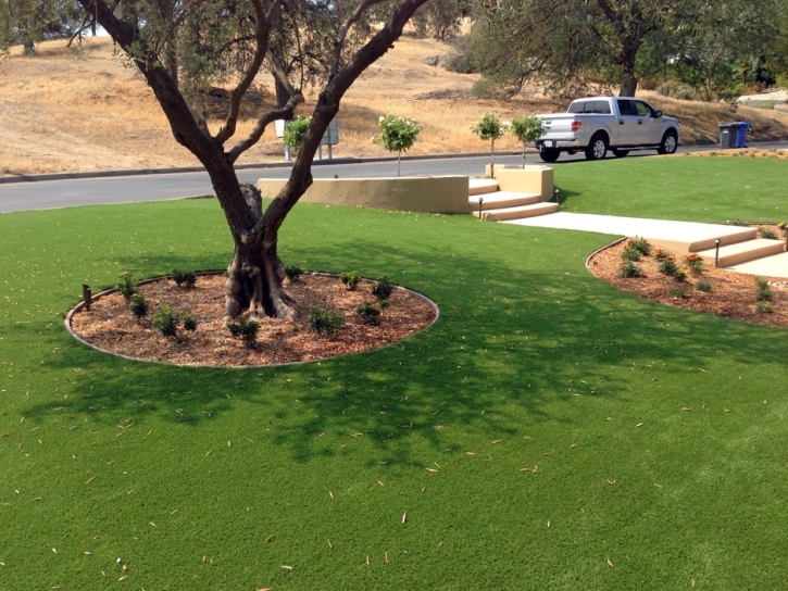 Faux Grass Brea, California Landscape Rock, Front Yard Landscaping
