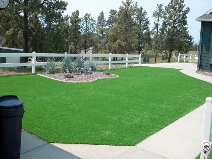 Faux Grass Covina, California Garden Ideas, Front Yard