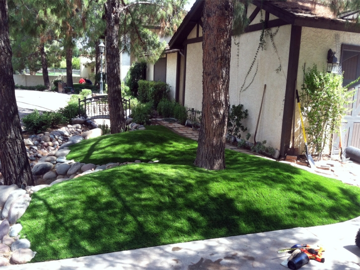 Faux Grass North El Monte, California, Front Yard Landscaping Ideas