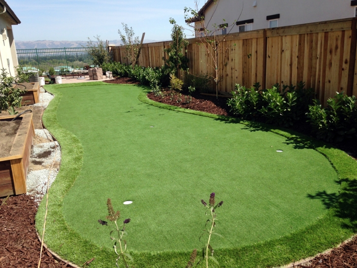 Grass Carpet Avocado Heights, California Putting Green Turf, Backyard Landscape Ideas