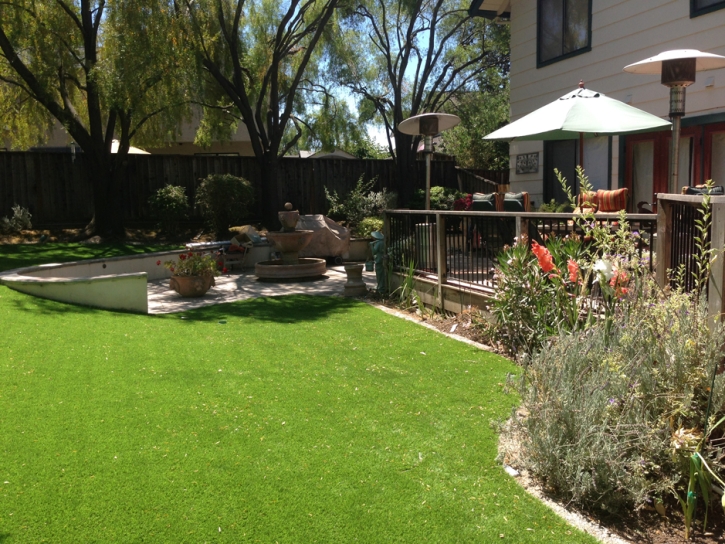 Grass Carpet Grand Terrace, California Landscape Design, Backyard Landscape Ideas