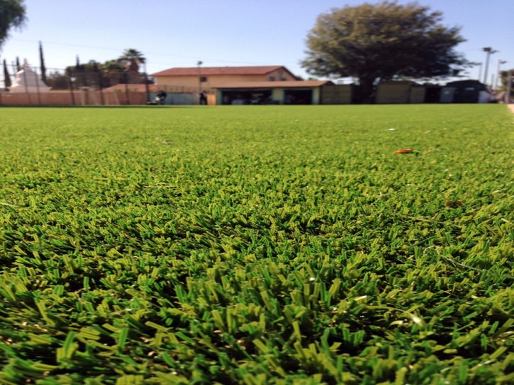 Grass Carpet Idyllwild-Pine Cove, California Backyard Soccer
