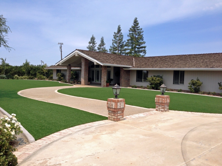 Grass Carpet Pasadena, California Landscape Photos, Small Front Yard Landscaping