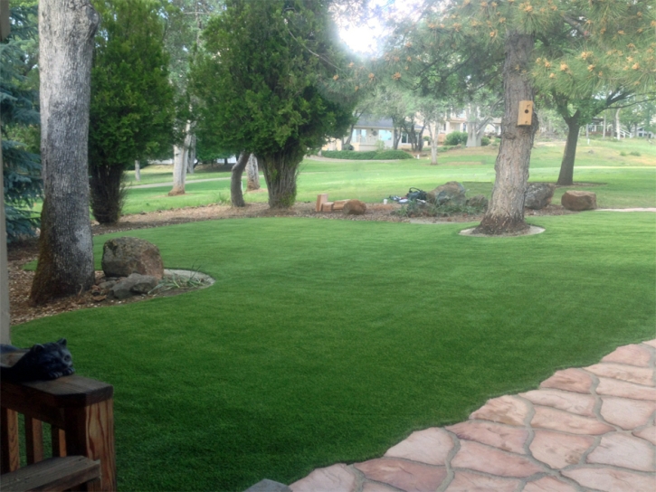 Grass Carpet Romoland, California Home And Garden, Front Yard Ideas