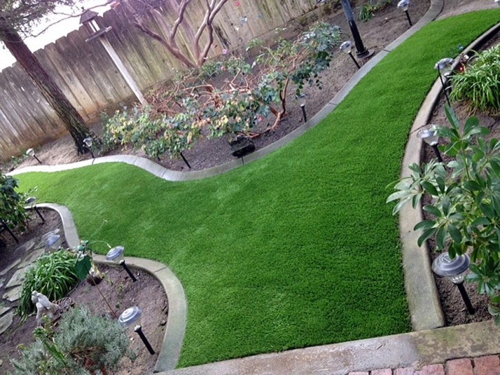 Grass Carpet San Pedro, California Lawn And Garden, Backyards