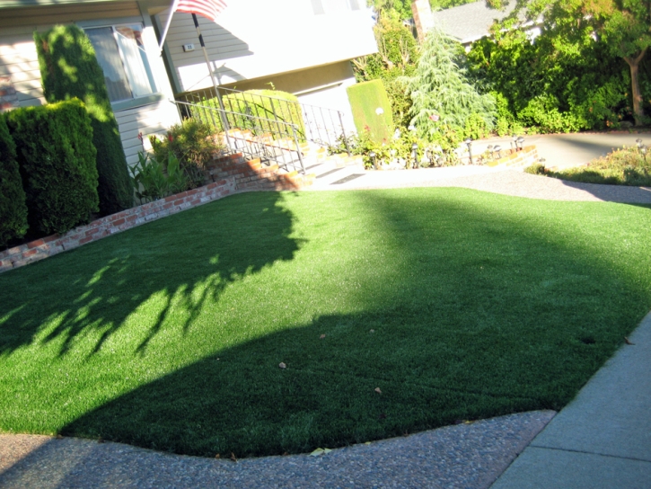 Grass Carpet Santa Monica, California Landscaping Business, Landscaping Ideas For Front Yard