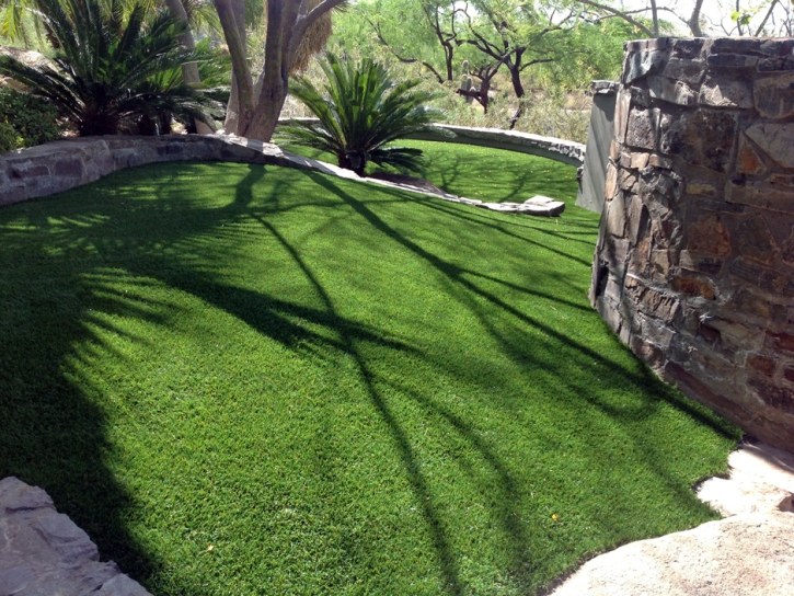 Grass Carpet Sunnyslope, California Landscape Design