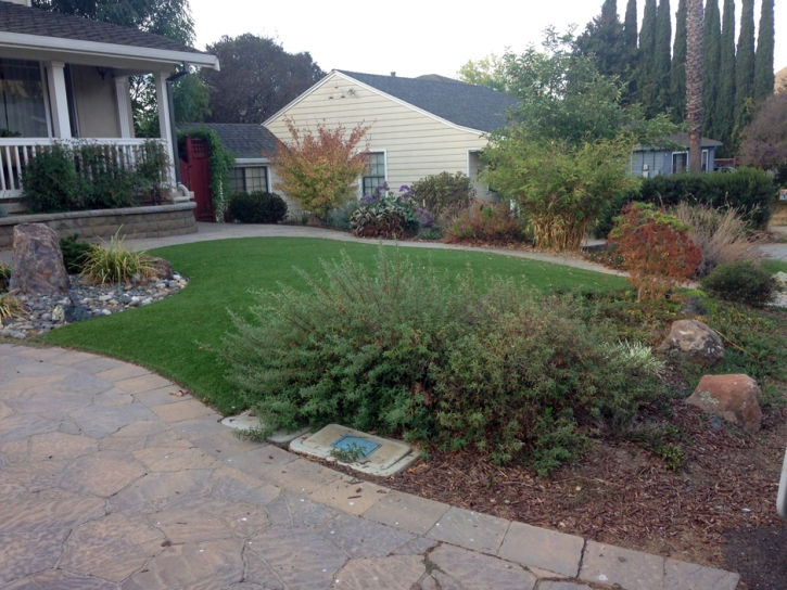 Grass Carpet Vincent, California Landscaping, Front Yard Landscaping Ideas