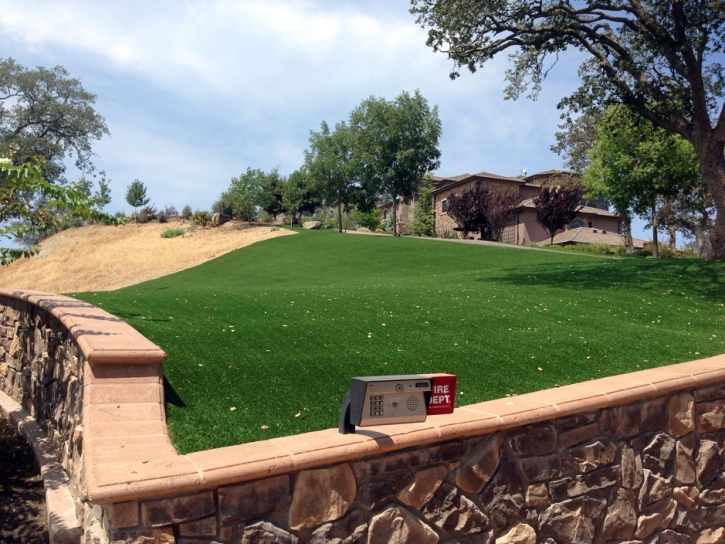 Grass Carpet West Puente Valley, California Landscape Rock, Front Yard Landscape Ideas