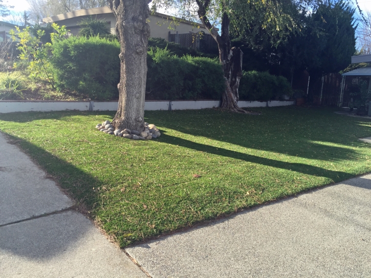 Grass Installation Carson, California Landscaping Business, Front Yard Landscape Ideas