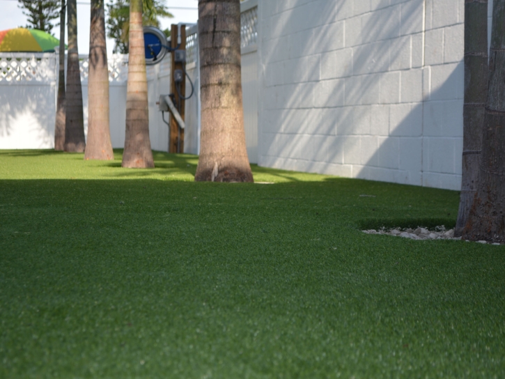 Grass Installation Santa Monica, California Home And Garden, Commercial Landscape