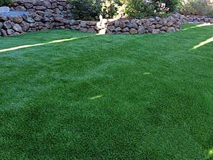 Grass Turf Buena Park, California Dog Pound, Beautiful Backyards