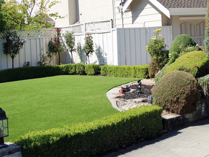 Grass Turf Mountain Center, California Home And Garden, Small Front Yard Landscaping