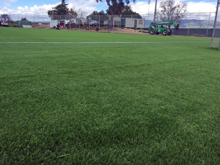 Grass Turf Ontario, California High School Sports