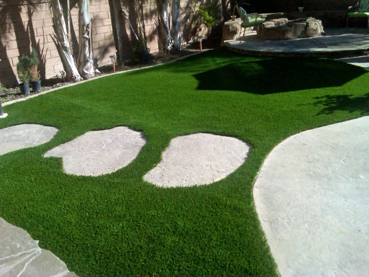 Grass Turf Westminster, California City Landscape, Small Backyard Ideas