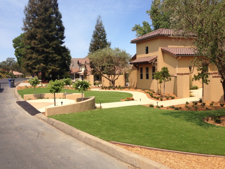 Grass Turf Westwood, California Roof Top, Front Yard Landscaping