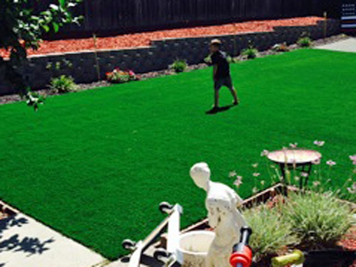 Green Lawn Cerritos, California Landscaping Business, Backyard Landscaping