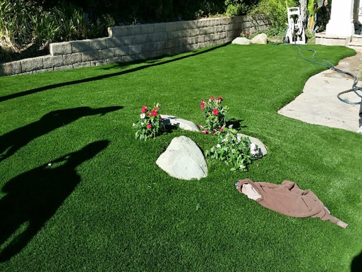 Green Lawn North El Monte, California Lawn And Garden, Front Yard Landscaping Ideas