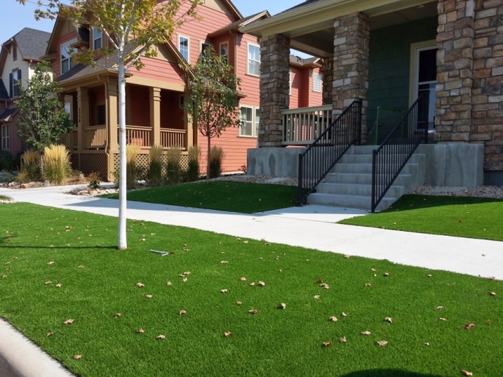 Installing Artificial Grass Artesia, California Garden Ideas, Front Yard Ideas