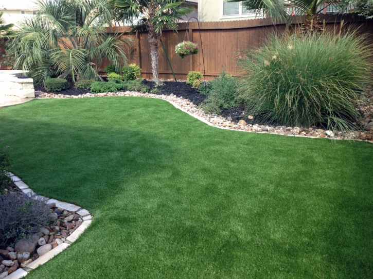 Installing Artificial Grass Garden Grove, California Cat Grass, Backyards
