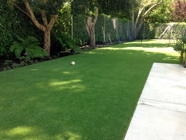 Installing Artificial Grass North Glendale, California Fake Grass For Dogs