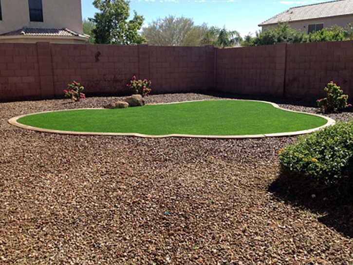 Lawn Services Avocado Heights, California Roof Top, Small Backyard Ideas