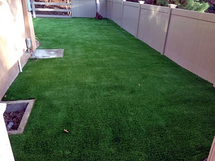 Outdoor Carpet Tustin, California Pictures Of Dogs, Backyard Makeover