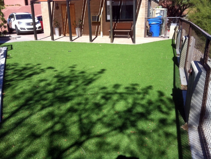 Outdoor Carpet West Athens, California Landscape Ideas, Backyard Landscaping