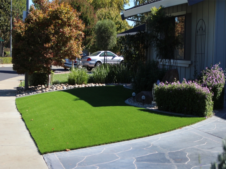 Plastic Grass El Cerrito, California Home And Garden, Front Yard Ideas