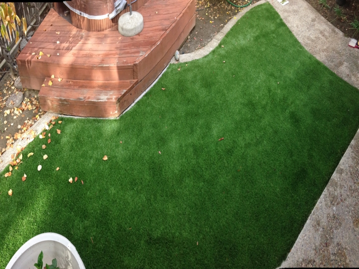 Plastic Grass Los Alamitos, California Backyard Deck Ideas, Small Backyard Ideas