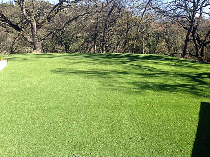 Synthetic Grass Arcadia, California Lawns, Parks