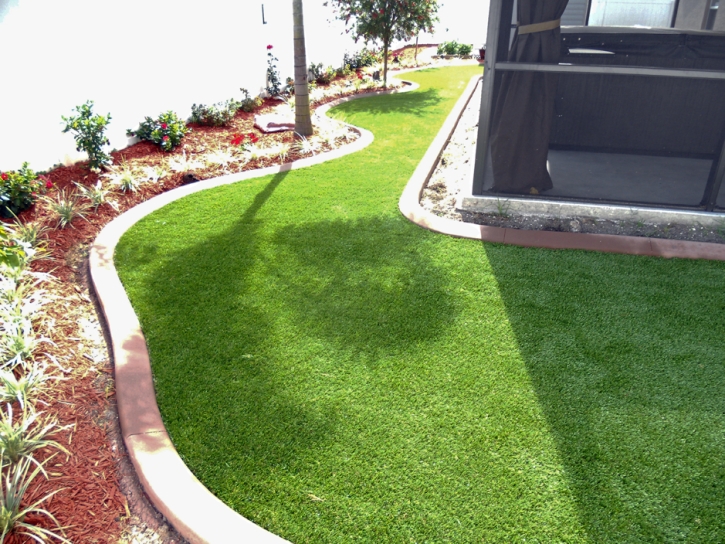 Synthetic Grass Beaumont, California City Landscape, Backyard Landscaping