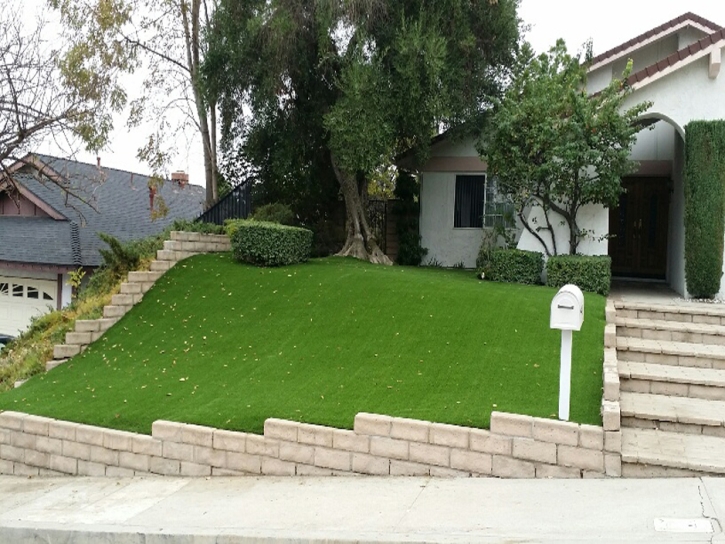 Synthetic Grass Cost Citrus, California Design Ideas, Front Yard Ideas