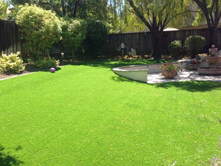 Synthetic Grass Cost Claremont, California Garden Ideas, Backyard