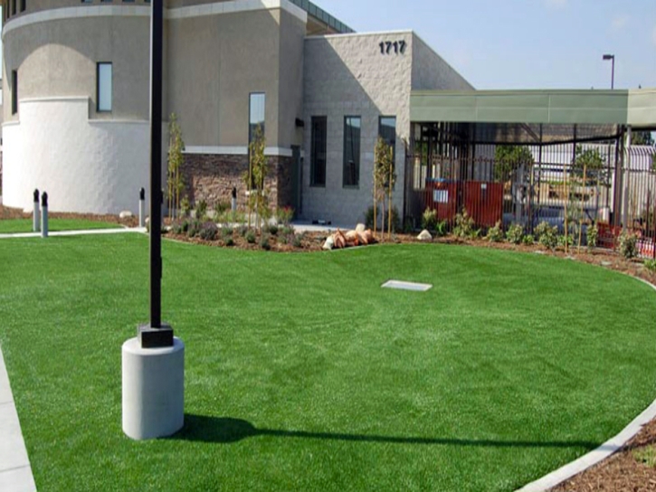 Synthetic Grass Cost Irwindale, California Rooftop, Commercial Landscape