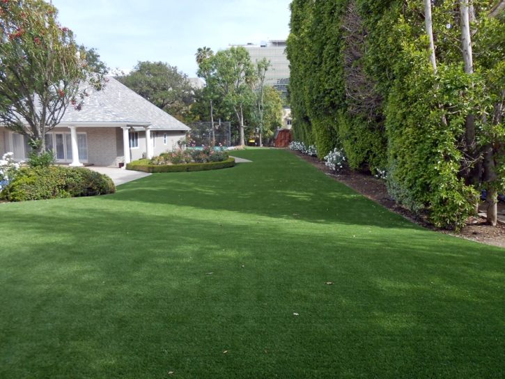 Synthetic Grass Cost Midway City, California Artificial Turf For Dogs, Front Yard Ideas