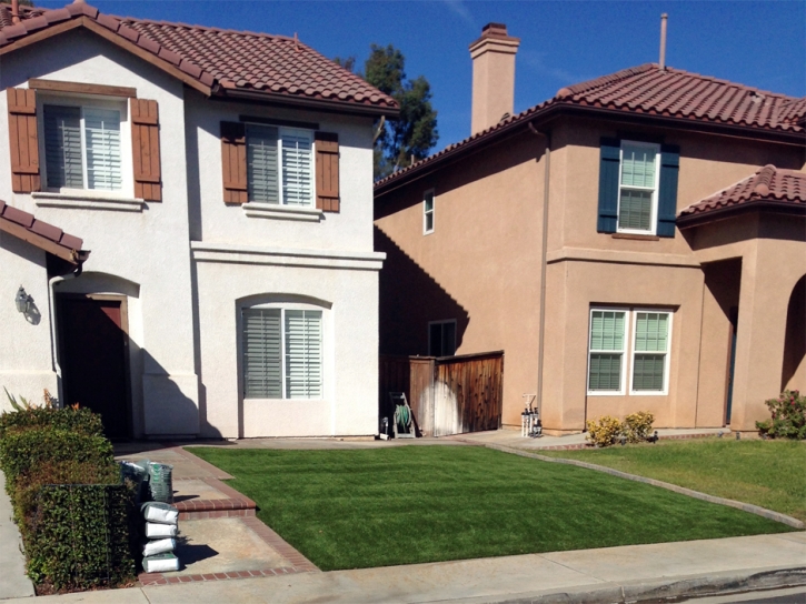 Synthetic Grass Cost Pico Rivera, California Gardeners, Front Yard