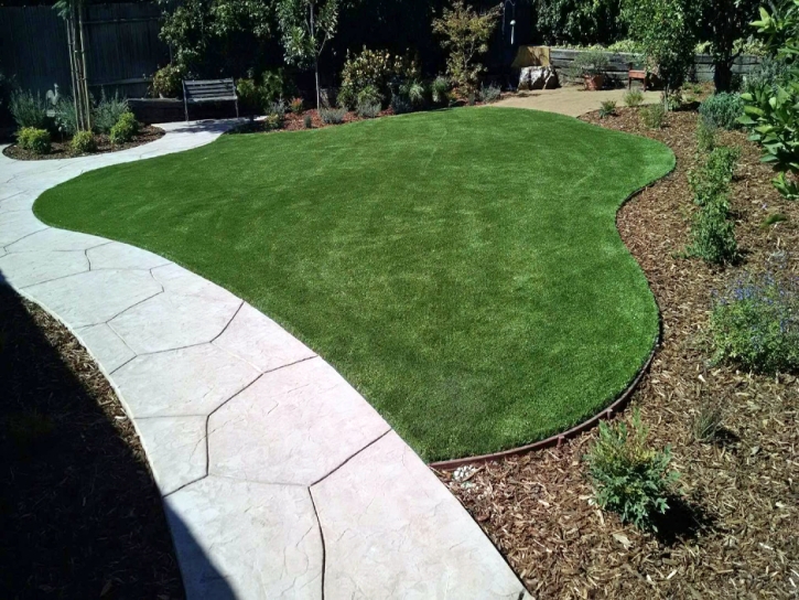 Synthetic Grass Cost Valencia, California Landscaping, Front Yard Ideas