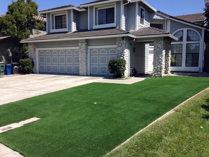 Synthetic Grass Dana Point, California Lawn And Garden, Front Yard Design