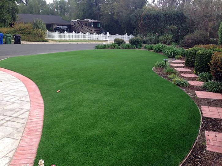 Synthetic Grass Lake Los Angeles, California Landscape Ideas, Front Yard Landscaping Ideas