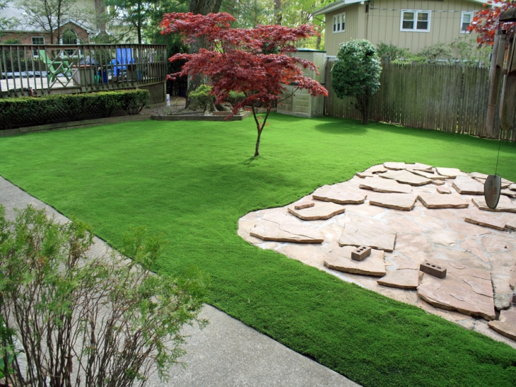 Synthetic Grass Lucerne Valley, California Landscape Ideas, Backyard Landscaping