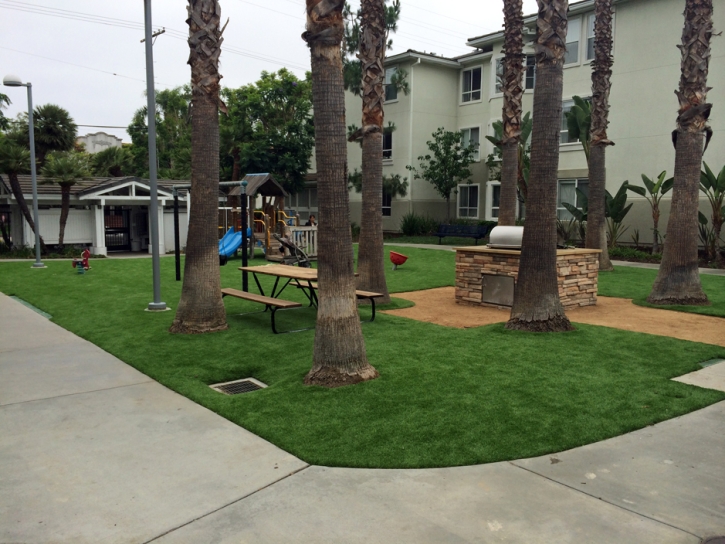 Synthetic Grass Mayflower Village, California Landscape Ideas, Commercial Landscape