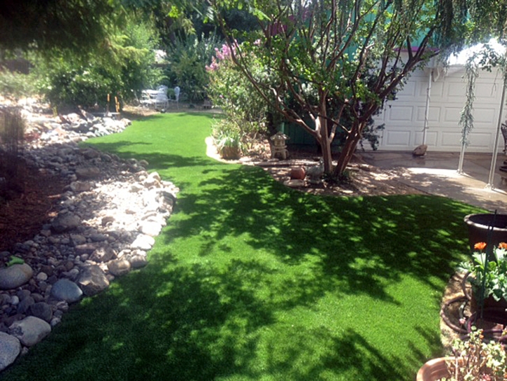 Synthetic Grass Murrieta Hot Springs, California Garden Ideas, Backyard Landscaping