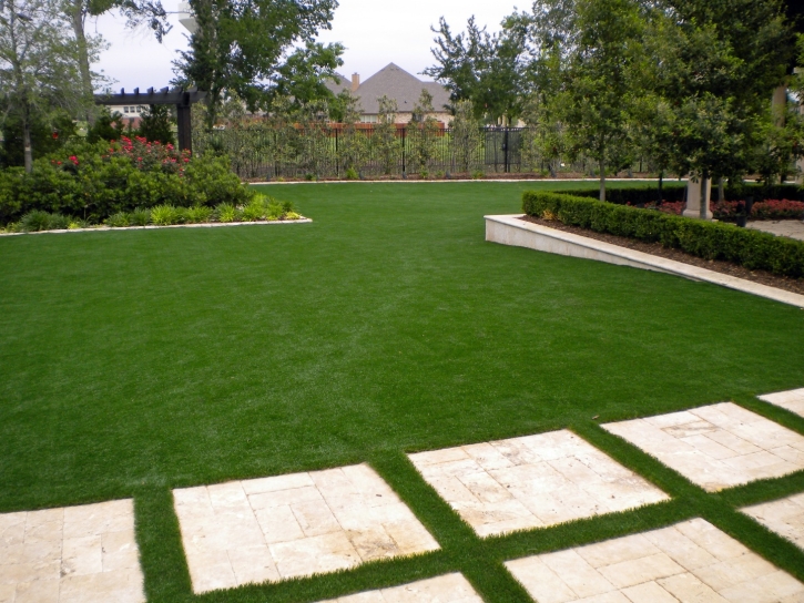 Synthetic Grass Pico Rivera, California Landscape Design, Backyard Designs