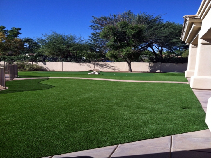 Synthetic Lawn Lennox, California Landscaping, Small Front Yard Landscaping
