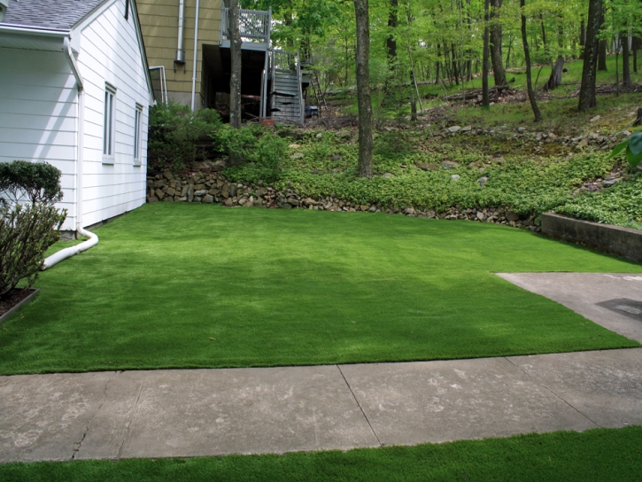 Synthetic Lawn San Jacinto, California Lawn And Landscape, Front Yard Landscaping