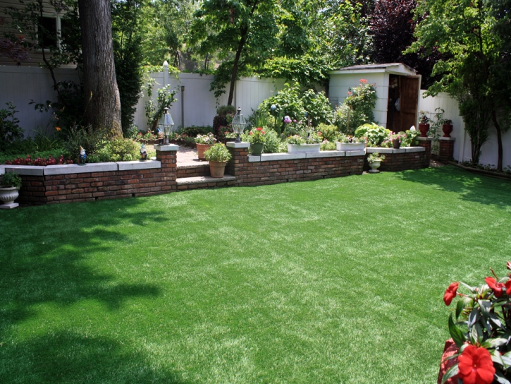 Synthetic Lawn Westlake Village, California Lawn And Garden, Backyard Designs