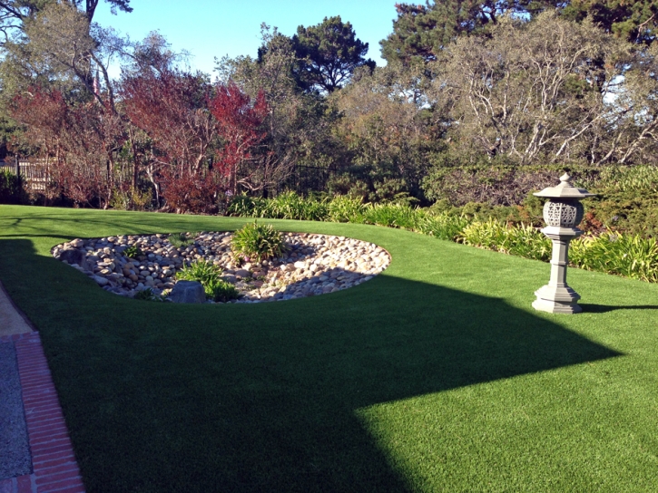 Synthetic Turf La Puente, California Garden Ideas, Backyard Landscaping Ideas