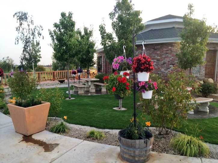 Synthetic Turf Maywood, California Landscape Design, Commercial Landscape