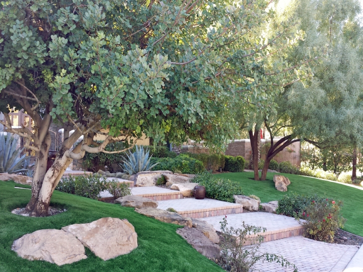 Synthetic Turf Oak Glen, California Lawns, Small Backyard Ideas